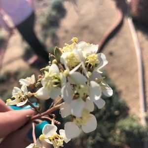 Meet your Posher, Sara